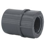 PVC Schedule 80 Female Adapter P80SFAD at Pollardwater
