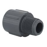 PVC Schedule 80 Male Adapter P80SMAD at Pollardwater