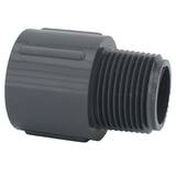PVC Sch 80 Male Adapter P80SMAG at Pollardwater
