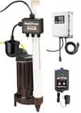 Liberty Pumps 1/3 HP 115V Cast Iron Elevator Sump Pump System with OilTector® Control & Alarm LELV250 at Pollardwater