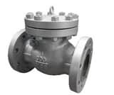 Details about   Neway 0.5S1RG10-TFE-000 Stainless Swing Check Valve 1/2in 150 