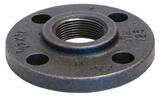 Threaded x Flanged 125# Cast Iron Companion Flange BCICFJS at Pollardwater