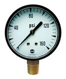 Thuemling Industrial Products 160 psi Pressure Gauge TMO10058 at Pollardwater