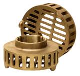 The Edson Corp 2 in. Bronze Strainer E111BS200 at Pollardwater