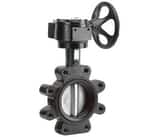 Matco-Norca B5 2-1/2 in. Cast Iron Wafer Buna-N Gear Operator Butterfly Valve MB5RWG25 at Pollardwater