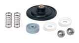 LMI LMI Spare Part Kit Assembly for Liquid End UAA75185PBX and UBP2186PB Pumps LSP86PB at Pollardwater