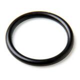 LMI LMI Roytronic™ Polyprel O-Ring for Roytronic Chemical Metering Pumps L48349 at Pollardwater