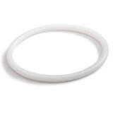 LMI LMI Roytronic™ PTFE Plastic O-Ring for Roytronic Chemical Metering Pumps L48589 at Pollardwater