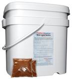 Pollardwater 25 lb. Lagoon Bacteria (50) 8 oz. Water Soluable Bags PLB600 at Pollardwater