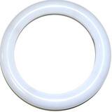LMI LMI 1/2 in. NPT PTFE Seal Ring for LE-20 Metering Pump L25128 at Pollardwater