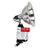 PRIME® 8-1/2 in. 125V 100W Aluminum Clamp Lamp in Black PCL050506B at Pollardwater