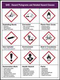 Accuform Signs 32 x 20 in. GHS Pictogram Poster APST161 at Pollardwater