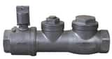 Liberty Pumps CURB STOP/SWING CHECK VALVE ASSEMBLY 316 STAINLESS STEEL 2 FNPT LCSV200SS at Pollardwater